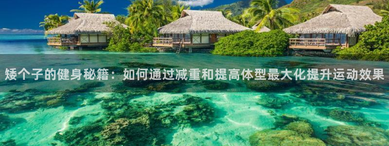 意昂2平台