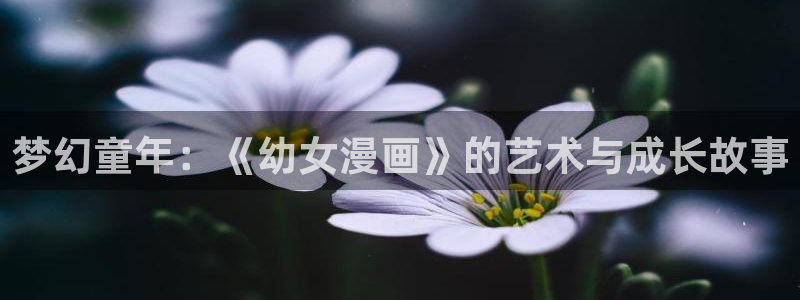 再漫画
