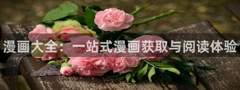 再漫画吧